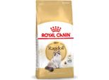 Royal Canin Ragdoll Adult Cibo Secco Per Gatti Ragdoll 2Kg