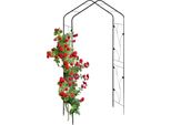 Relaxdays Arco Di Rose In Metallo Nero