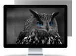 Natec Owl Frameless Display Privacy Filter 60.5 Cm (23.8 )