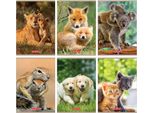 Quaderno A5/32K Linea Animali Doppi (10 Copie)