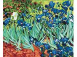 Pittura Per Numeri Brushme 40X50 Cm Iris Van Gogh