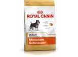 Royal Canin Miniature Schnauzer Adult Cibo Secco Per Cani 3 Kg