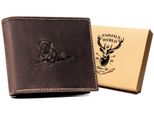 Always Wild | Portafoglio Grande, In Pelle, Da Uomo, Marrone, 12,5X10,5 Cm
