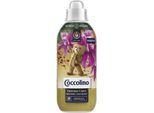 Coccolino Sandalo & Caprifoglio Ammorbidente 645 Ml Per 28 Lavaggi