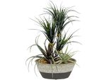 Kunstpflanze I.Ge.A. "Dracena/Tillandsia", GrüN, B:23Cm H:31Cm L:18Cm, Kunstpflanzen, Kunstpflanze, Im ÜBertopf Aus Keramik