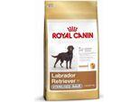 1 X Royal Canin Labrador Adult Sterilised 3Kg