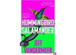 Salamandra Colibrì