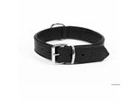 Collare Per Cani Gloria Drymilled 50 Cm