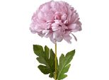 Fiore Artificiale Clayre & Eef 80 Cm Plastica Viola