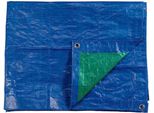 Tenda Edm Blu Verde Bifacciale 2 X 3 M 90 G