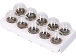 Lampadina R10W BA15S 12V 10W - 10 Pezzi