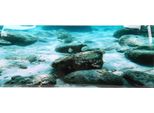 Pvc -Adesivo -Pavimento Marino -Modello Roccia Acquario Sfondo Poster Adesivo Decorazione Vasca Pesci91X50 Cm