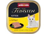 Animonda Vom Feinsten Kitten Con Pollo 100Gx32