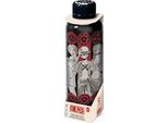 Butelka Na Wodę Z Postacią One Piece, Stal Nierdzewna, 500 Ml