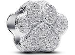 Pandora Moments Charm Mini Paw Texture 794043C00
