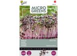 Buzzy Microgreens Ravanello Daikon Rosso Semi - Circa 5 Gr | Buzzy_080323