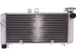 Radiatore Acqua Jmp 2019040112 Per Honda Cbf 600