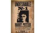 Puzzle Harry Potter Nr 1, 50 ElementóW - Oficjalna Licencja