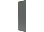Mexen Next Paravento Doccia A 1 Anta 60 X 150 Cm, Grafite, Dorato - 895-060-000-00-40-50