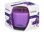 Vasetto Di Profumo Bolsius Grande Alla Lavanda