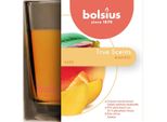 Candela Bolsius Jar True Scents 95/95 Mm, Profumata, Mango, In Vetro