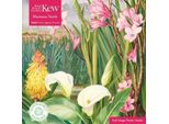 Puzzle Sostenibile Per Adulti Kew Gardens: Marianne North: Le Bellezze Delle Paludi Di Tulbagh