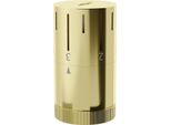 Mexen Uni-Term Testa Termostatica Per Radiatore, Dorata - W908-005-50