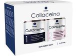 Funghi Collacein Colway E Prebiotici In Un Unico Prodotto