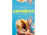 Anfibio