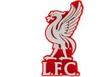 Magnete Da Frigo 3D Del Liverpool Fc TA2460 (Taglia Unica) (Rosso)