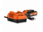 Powerplus POWDP90630 - Caricabatterie 20V/40V 2.0A E Batteria 20V LI-ION 3.0Ah