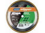 Disco Diamantato Extreme Gres Ø 350 Mm Foro 25,4 Mm Larghezza Segmento 2,2 Mm Altezza Segmento 15 Mm