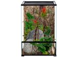 Terrario In Vetro Repti Planet 60X45X90 Cm