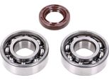 Set Cuscinetti Albero Motore Schmitt Skf, Fkm Premium -C3- Per Piaggio Ciao, Bravo, Boxer