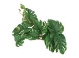 Foglia Di Tartaruga In Rattan, Foglie Di Palma Artificiale, Foglie Di Palma Di Simulazione, Decorazione Di Plastica Della Foglia Della Tartaruga, Decorazione Della Foglia Della Pianta Del Rettile, Pianta Del Terrario Del Rettile