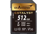 Scheda Di Memoria Exascend Catalyst UHS-I V30 Da 512 Gb