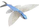 Modello Di Pesce Marino, Modello Di Animale Giocattolo, Giocattolo Educativo In Plastica, Solido Per Bambini