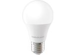 Forever Light Lampadina Led E27 A55 4 W 480 Lm 6000 K Classe Di Efficienza Energetica E