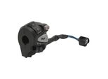 Gruppo Interruttore Manubrio, Gruppo Interruttore Manubrio 22 Mm, Interruttore Faro Manubrio, Interruttore Hi Lo Manubrio, Interruttore Clacson Manubrio, Interruttore Manubrio Moto