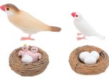 4 Pezzi Figure Del Ciclo Di Vita Dell'uccello Fringuello Per Bambini, Pvc, Giocattolo Educativo Realistico Di Crescita Animale