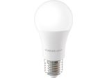 Forever Light Lampadina Led E27 A60 12,8 W 1520 Lm 6000 K Classe Di Efficienza Energetica E