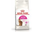 Royal Canin Feline Savour Exigent - 4 Kg