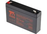 Batteria T6 Power NP6-8, 6V, 8Ah