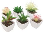 6PCS Piante Artificiali In Vaso Succulente Artificiali In Plastica Finte Piante Domestiche Decorate Per Il Soggiorno Ufficio