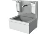 Kwc Ar Lavabo Per L'igiene, Elettrico, In Acciaio Inox, Da Appoggio, Termostatato, 550X650X425 Mm, 230 Vac