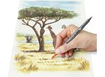 Staedtler 3001 C6-3 Penne A Punta Doppia In Fibra Staedtler "Africa"", Confezione Da 6 Pezzi"