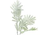 Ramo Di Mimosa Artificiale Con Effetto "Frost Puff"" Per La Decorazione Invernale"