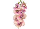 Fiore Artificiale Phalaenopsis Orchidea Falena Con Tatto Reale