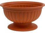 Elegante Fioriera Con Base Rimovibile Per Composizioni Decorative