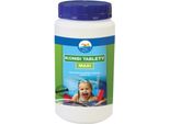 Nohel Garden Compresse Kombi Maxi Per Piscina 1Kg